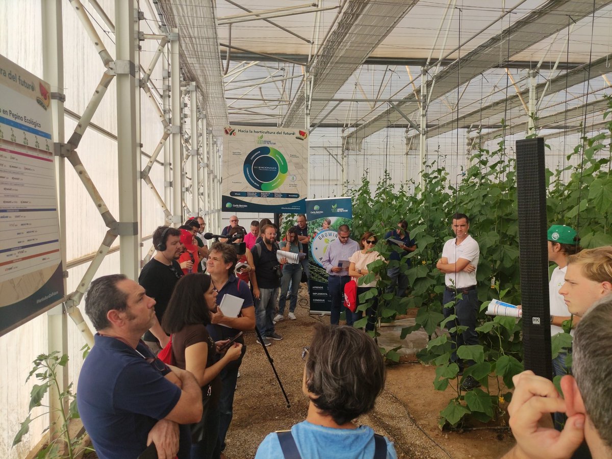 eComercioAgr's tweet photo. Nos muestran el protocolo en #pepinoecologico @CertisBelchimES
Soluciones eficaces contra #oidio y otras enfermedades #controlbiologico
Contra plagas : #Delfin #Turex #neudosan #botanigard #Majesric #Breaker
Foliares: #armicarb #cosavet #Vintec #AmiloXWG #KDos #Grifon https://t.co/3OAIYeMEdI