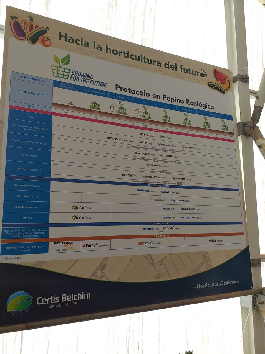 eComercioAgr's tweet photo. Nos muestran el protocolo en #pepinoecologico @CertisBelchimES
Soluciones eficaces contra #oidio y otras enfermedades #controlbiologico
Contra plagas : #Delfin #Turex #neudosan #botanigard #Majesric #Breaker
Foliares: #armicarb #cosavet #Vintec #AmiloXWG #KDos #Grifon https://t.co/3OAIYeMEdI
