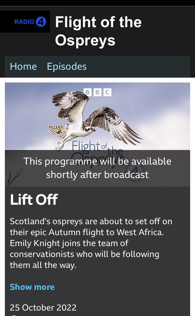 #FlightOfTheOsprey stars on @BBCRadio4 programme about the #expedition starts broadcasting next Tuesday 25th at 09.30. #FOTO @sachadench @rutlandospreys @TweedOspreys @timmackrill @RoyDennisWF @EugeneBirds @urbanbirder @GREPOMBirdlife @flygirlNHM @KayleighFawcett @TSLEd4SustDev