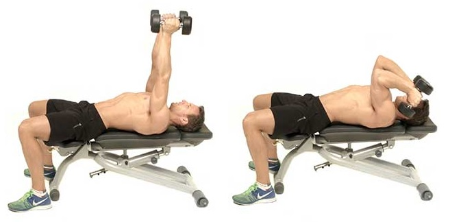 6 exercises that will transform your upper body: = Thread = https://t ...