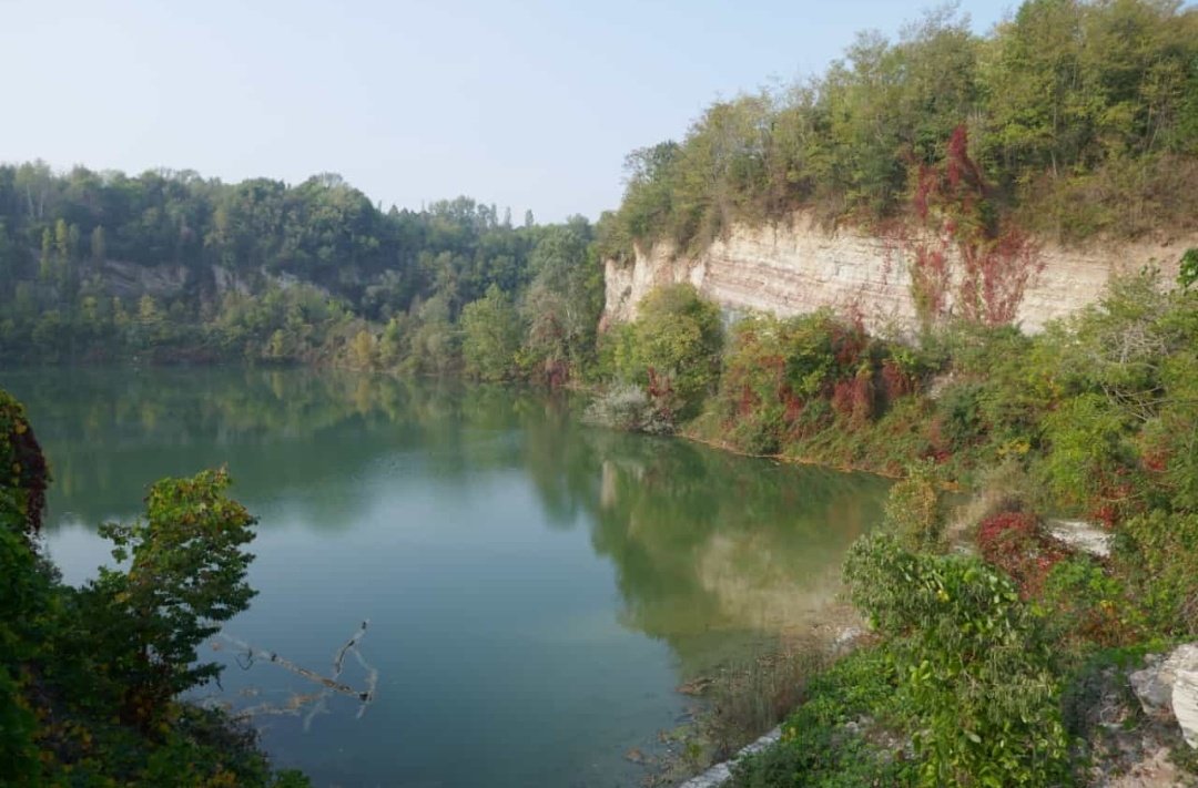 Smagi15's tweet photo. #Oasi di #Baggero #Merone https://t.co/TXqVPqeGko