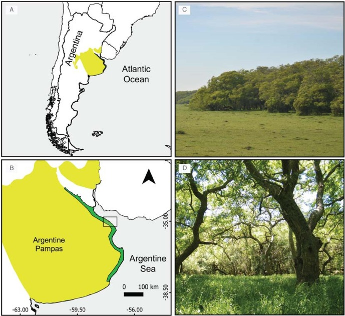 LinggoHQ's tweet photo. ¿Cómo mejoramos la restauración de bosques?🤔
Vamos a lo básico: ¿Qué sabemos de la geminación de de semillas de árboles de los #talares? 🌱
Con @somos_restaura exploramos estategias de germinac´ en 3 sp nativas y 3 exóticas, y sugerimos formas de acción🧑‍🌾
https://t.co/bThTzR6oXa https://t.co/rRzYys5fyv