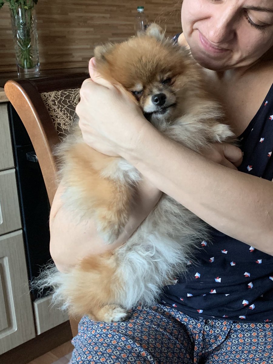 ahsashiimi's tweet photo. lovely gremlin ❤️ that moment when mom said she doesn't like dogs, and now calls every evening and asks if she ate well😂
#NFTCommunity #NFTFam https://t.co/I2qSB4jTP5