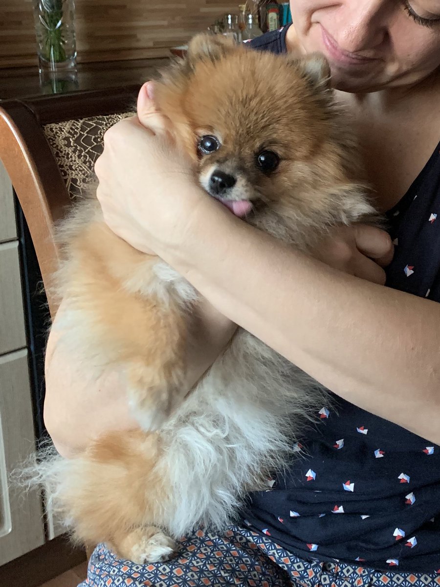 lovely gremlin ❤️ that moment when mom said she doesn't like dogs, and now calls every evening and asks if she ate well😂
#NFTCommunity #NFTFam