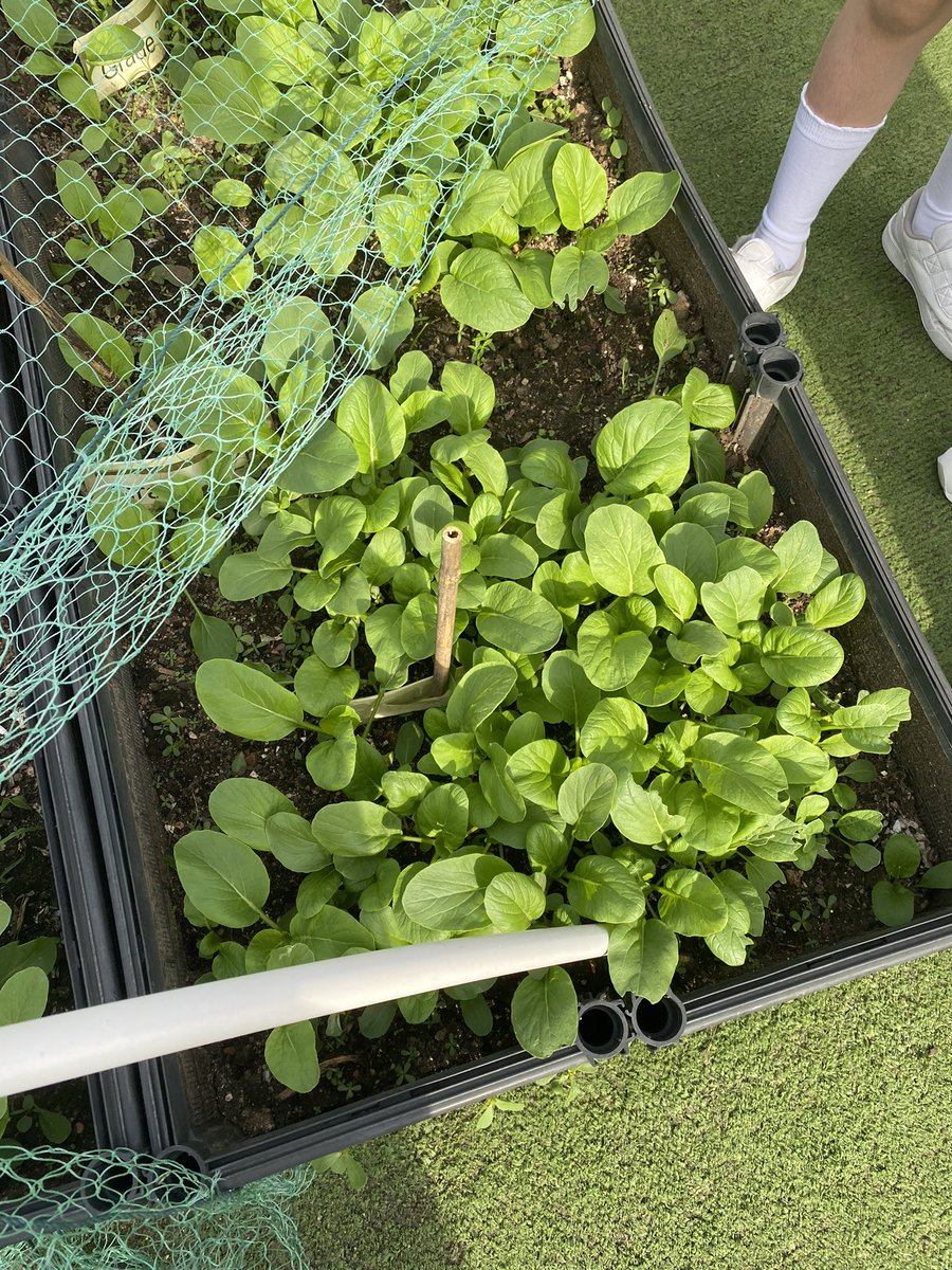 Brianna Nation tweet media