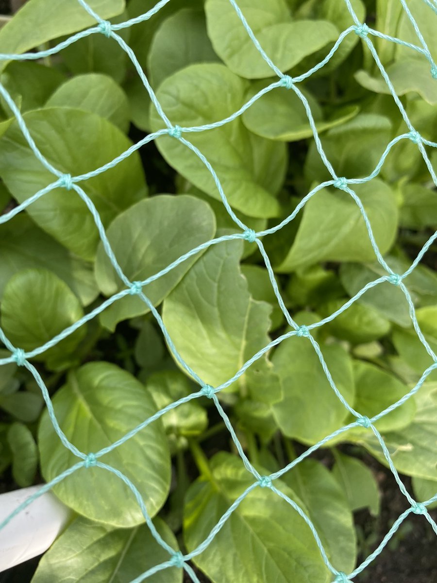 Brianna Nation tweet media