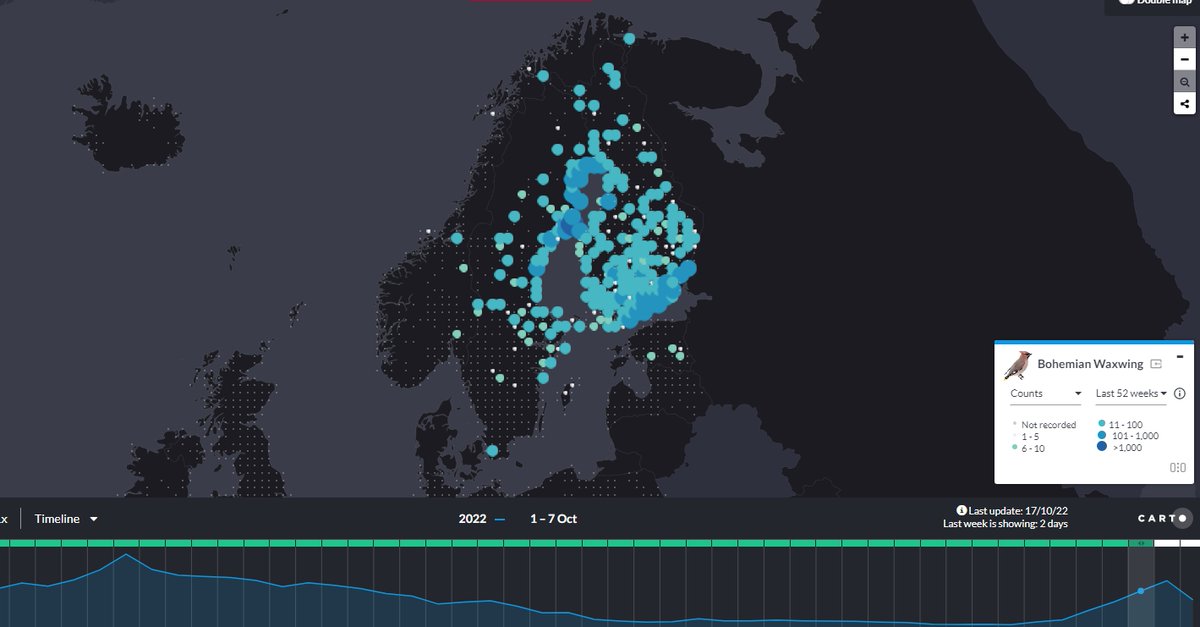 DEBALMER's tweet image. Waxwings are still moving south and west. Check out @EuroBirdPortal for the latest maps. Here 1-7 Oct (left) and 8-14 Oct (right) show how they have moved into southern Sweden
eurobirdportal.org/ebp/en/#home/B…