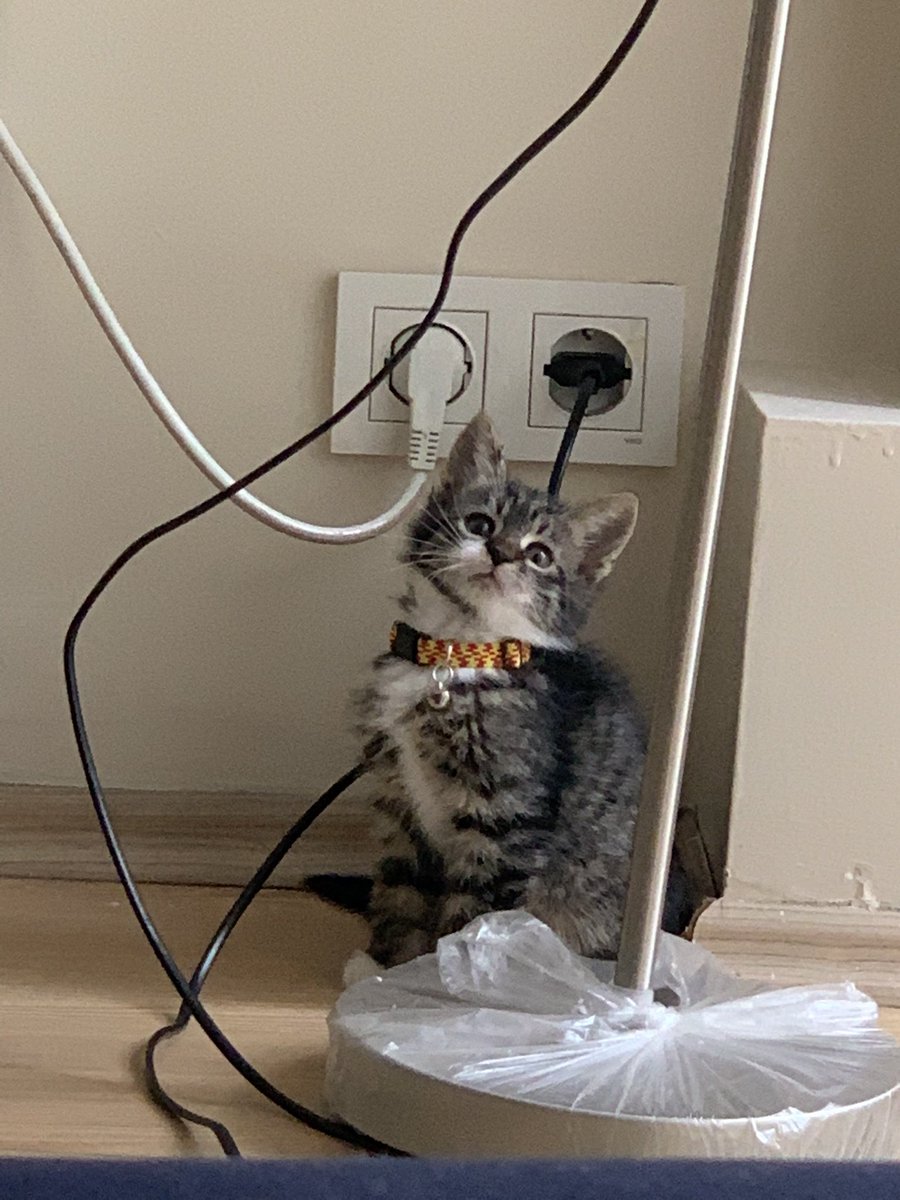 kaploları ısırıb annmi simir etsm mi