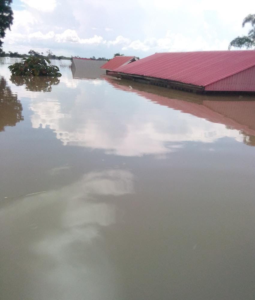 _africaToday's tweet photo. Presently in Nigeria 
- More than 500 people have died
- Over 1.3 million people have been displaced 
- More than 200,000 homes have been destroyed
- 27 of Nigeria's 36 states have been affected. We cannot continue to remain silent on issues that matters.Kindly rt #NigeriaFloods https://t.co/Bq9iY7iCG5