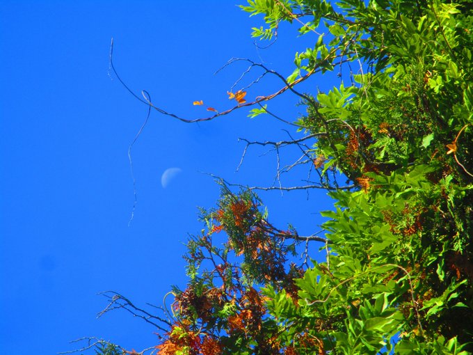 But the moon can sometimes be visible during the day, even when the sun is up -- that's because the moon and the stars are always somewhere in the sky. Sometimes the sun is so bright and its light can overpower the light from the moon and the stars.Jan 26, 2022

Why Can We See the Moon During the Day | Inside Science