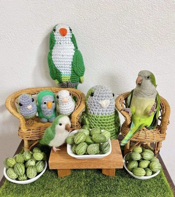 c_cryptocost's tweet photo. You can get high profits by staking birb. It is one of the projects that will rise and carry you to the future.
https://t.co/34tEYMJ1z6 #BIRB #BIRBPack #BSC #BSCGems #BNB #Binance #Crypto #cryptocurrency #CryptoNews #Web3 #P2E #NFTs #100xgem #MemeCoin  #Taurus #birbto1dollar https://t.co/vARHrs3ms4