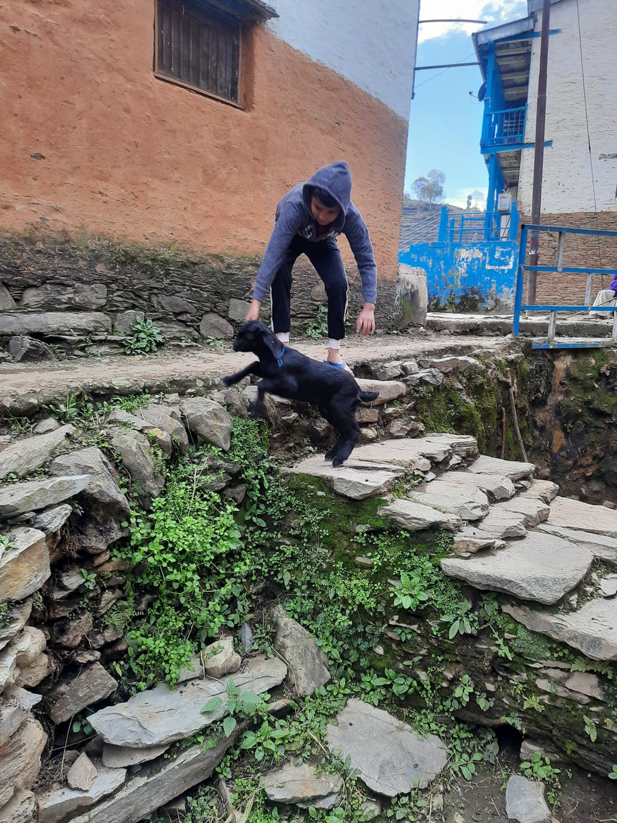 Hometown <a href="/uttrakhand/">uttrakhand</a> #pauri #gharwalibaat Enjoying life with Childhood @Divyansh