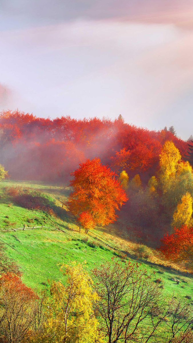 Tonya Paul (📸,💙💛)🪬 tweet media