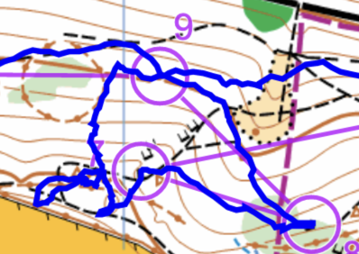 Quantock Orienteers tweet media