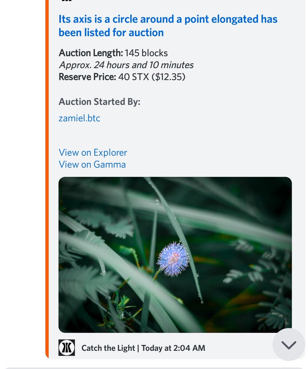 ZamielSaja's tweet photo. Today's latest creation🙂
🏮LIVE AUCTION PARTY 🏮
On @trygamma
- Reverse price 40 $STX
- Duration 24 hours
- Link : https://t.co/D3JBzPxquC
Let's gooo 🔥
#trygamma #Creation #NFTs #BTC #TBC #CreativeHealthReview #Findnewfriends #Stacks #photograghy #Auction #STX https://t.co/HiuGjXZAfV