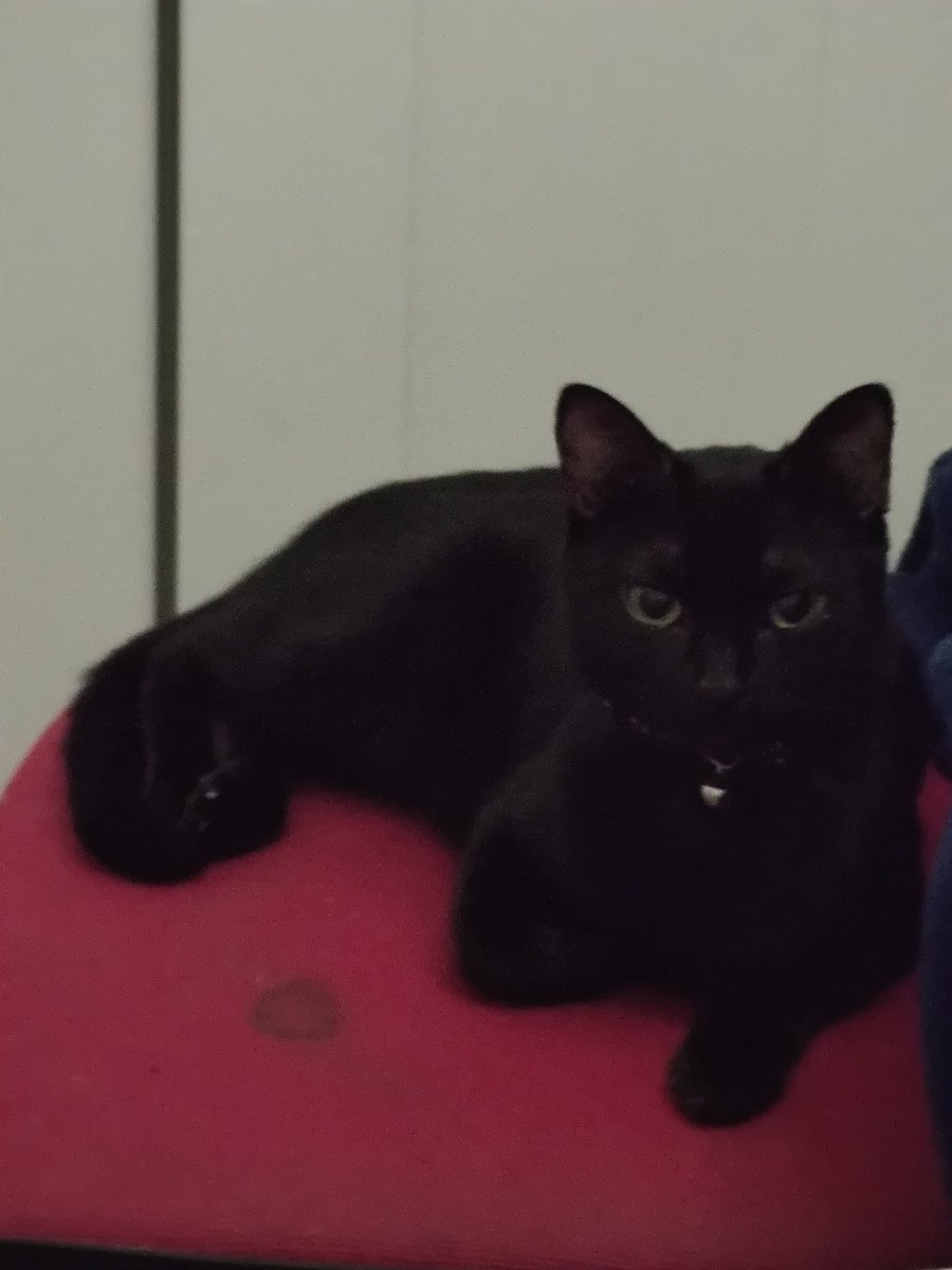 мне так нравится когда она так сидит