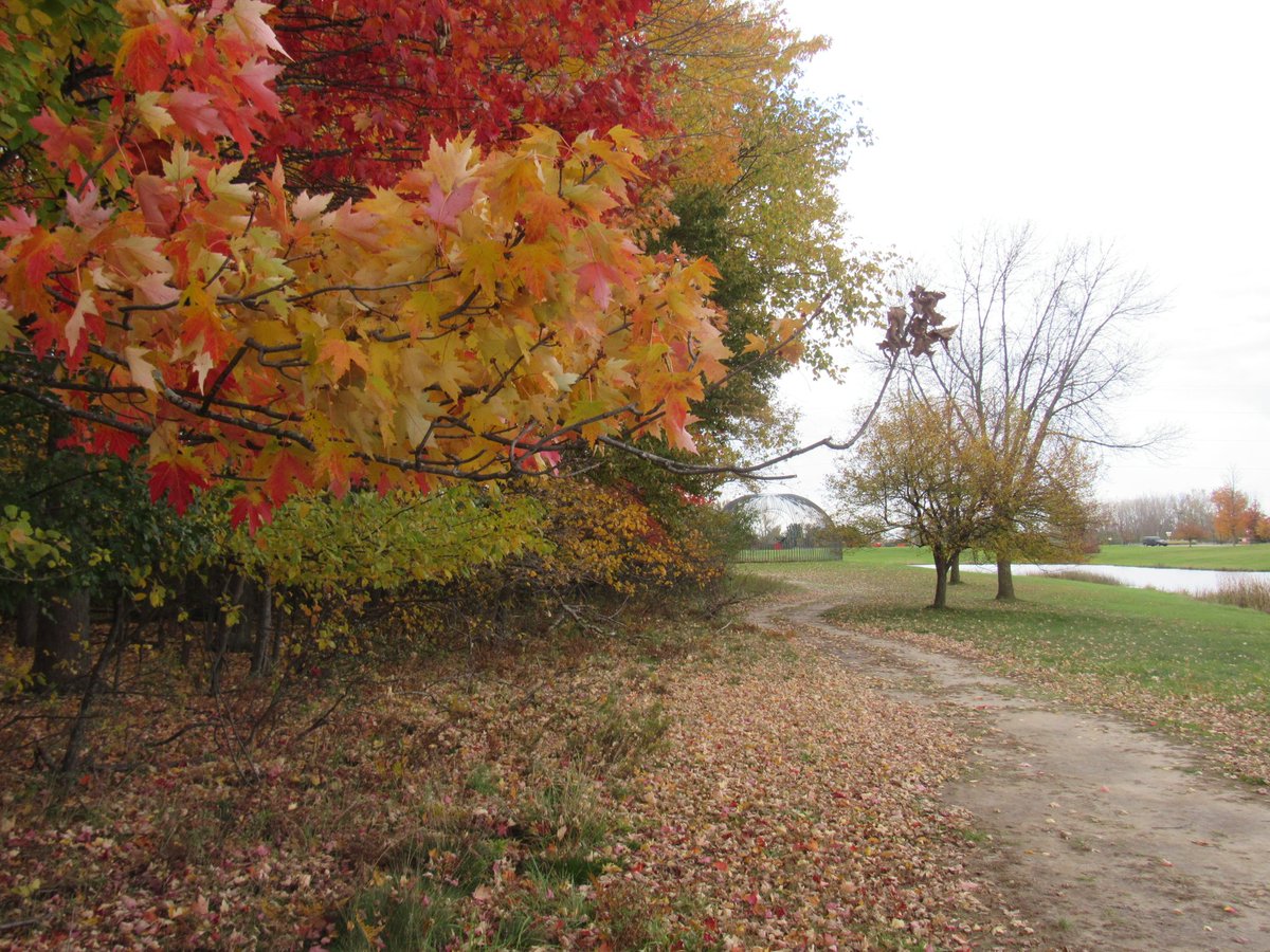 Tom Swit (@tomswit3) on Twitter photo 