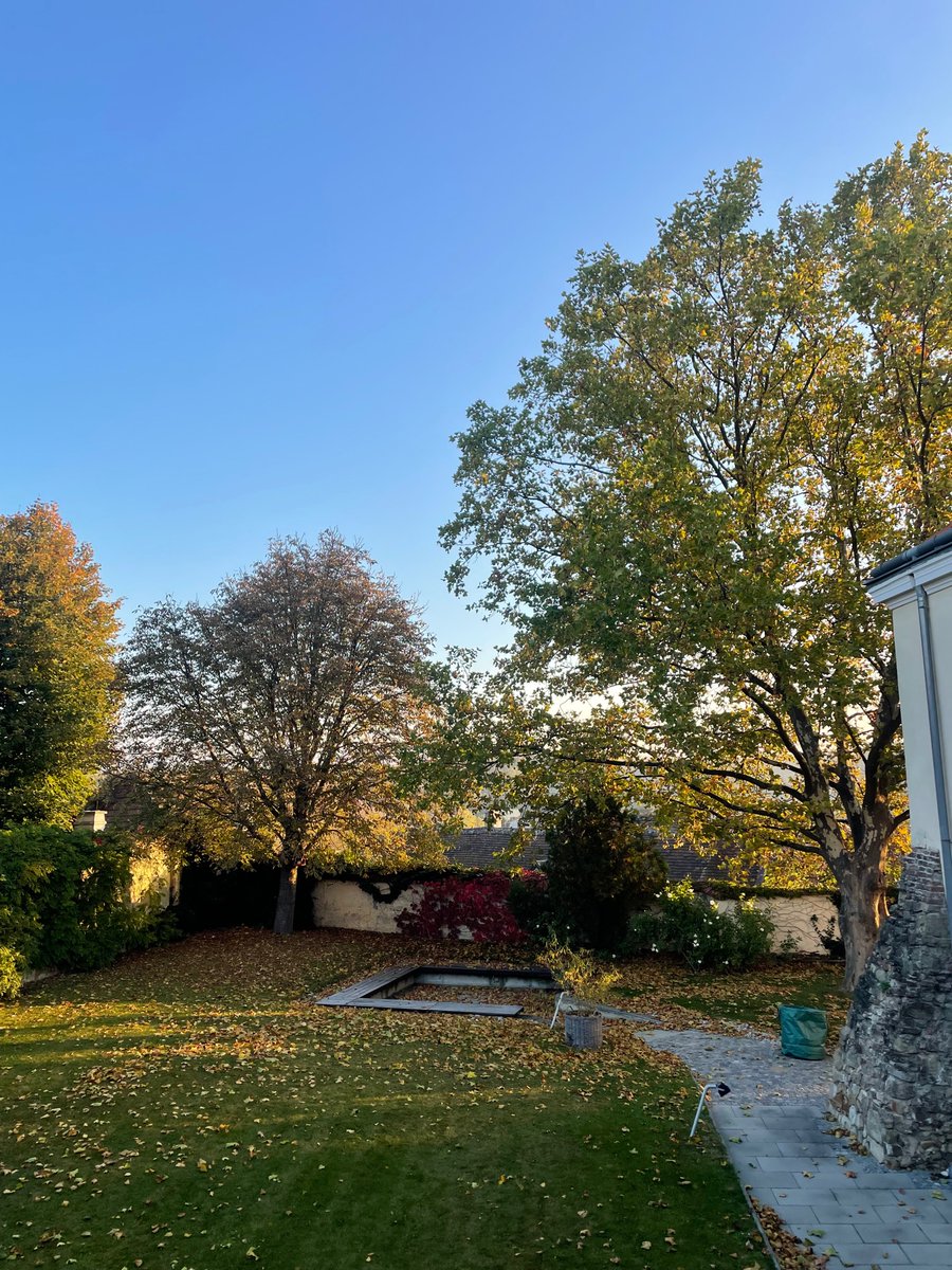 Early autumnal mornings at the <a href="/KLIAustria/">KLI: A Home to Theory that Matters</a>