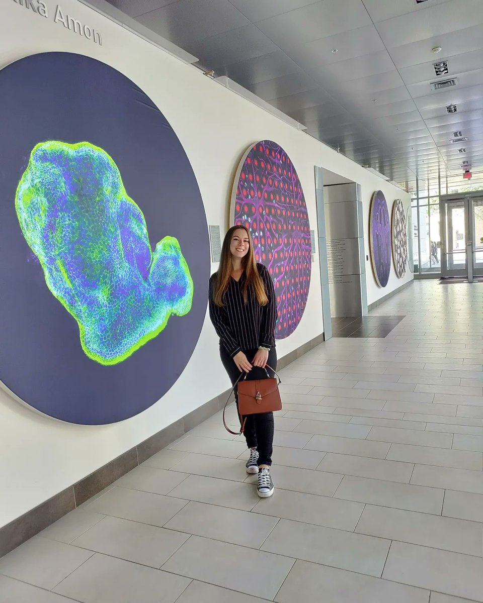 Ana Petelinec (@petelinec_ana) on Twitter photo September at 📍 MIT
Big thanks to Marianna Trakala for hosting us at the <a href="/kochinstitute/">Koch Institute at MIT</a>. I learned so much about organoid cultures! September at 📍 MIT
Big thanks to Marianna Trakala for hosting us at the <a href="/kochinstitute/">Koch Institute at MIT</a>. I learned so much about organoid cultures!