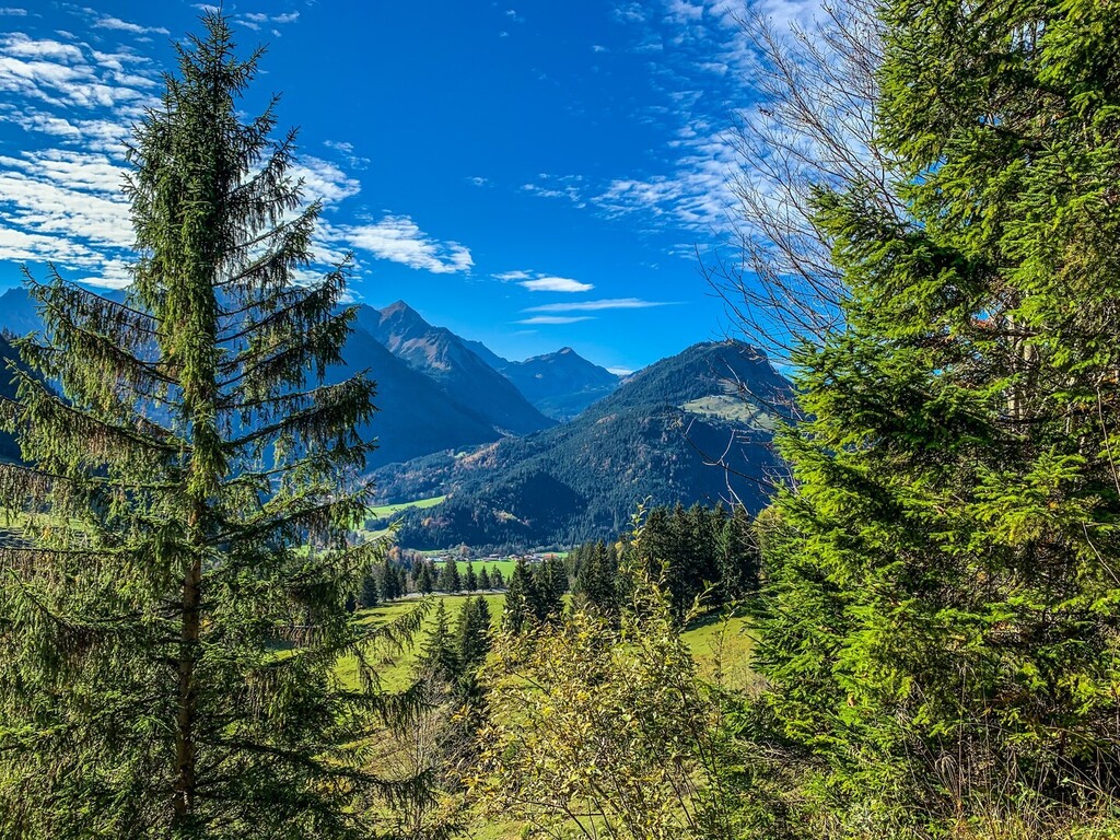 mountienator's tweet photo. Wanderung mit neuen Freunden auf den Spieser. Der goldene Oktober zeigte sich von der besten Seite. 

#mountieontour 
#allgäueralpen 
#wandern 
#spieser 
#oktober 
#goldeneroktober 
#bergliebe 
#vanlife 
#t5camper 
#oberjoch https://t.co/hPbze7Dksx https://t.co/tm43j0DSZ5