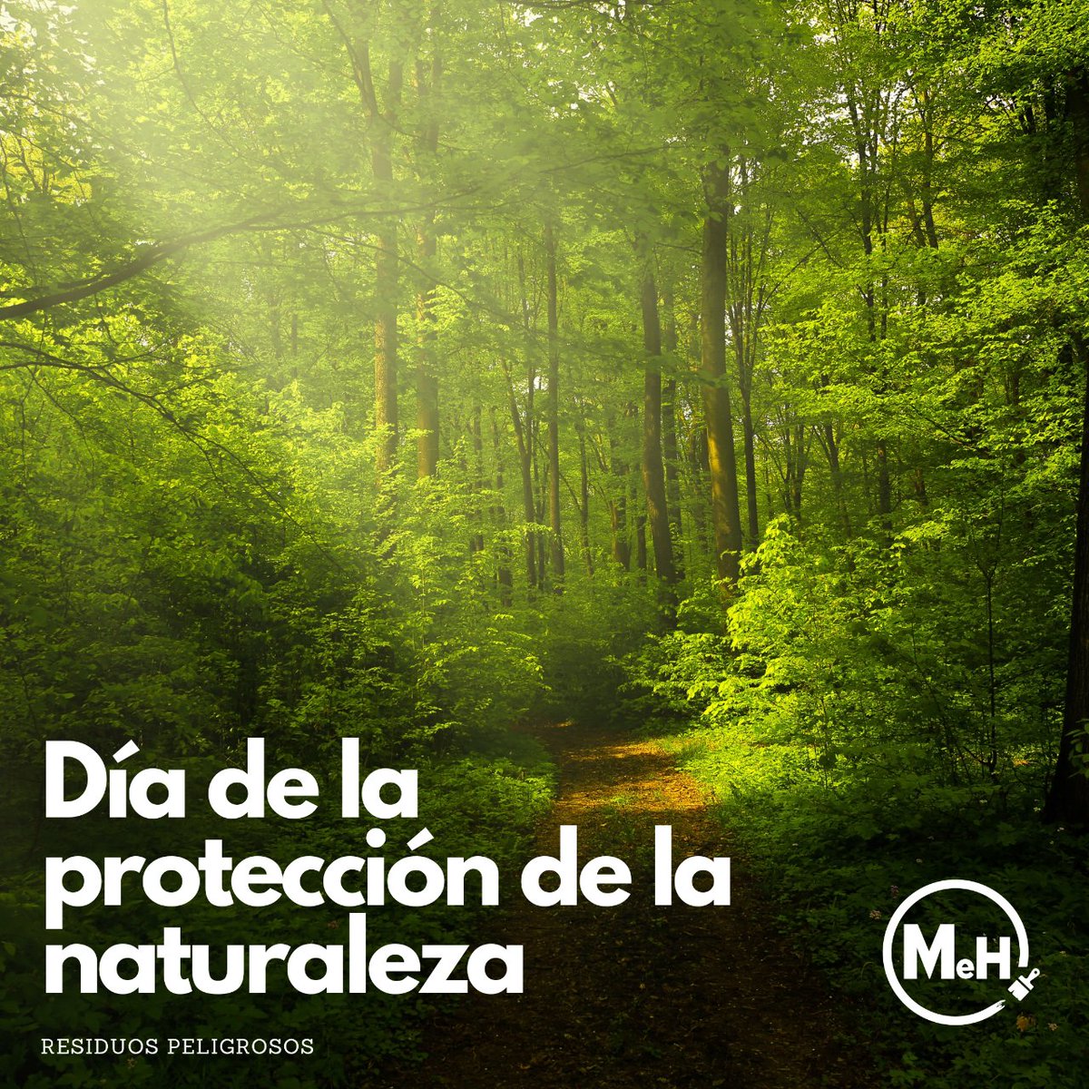 MorloPinturas's tweet photo. 🌳Protege la naturaleza🌳

✅Utiliza fuentes energéticas renovables.
✅Recicla, reutiliza 
✅Genera composta orgánica 
✅Utiliza bolsas reutilizables 
✅Reduce nuestra huella de carbono.

#Diamundialdelaprotecciondelanaturaleza #gestionderesiduos #morlo https://t.co/7WfBwr3jLo