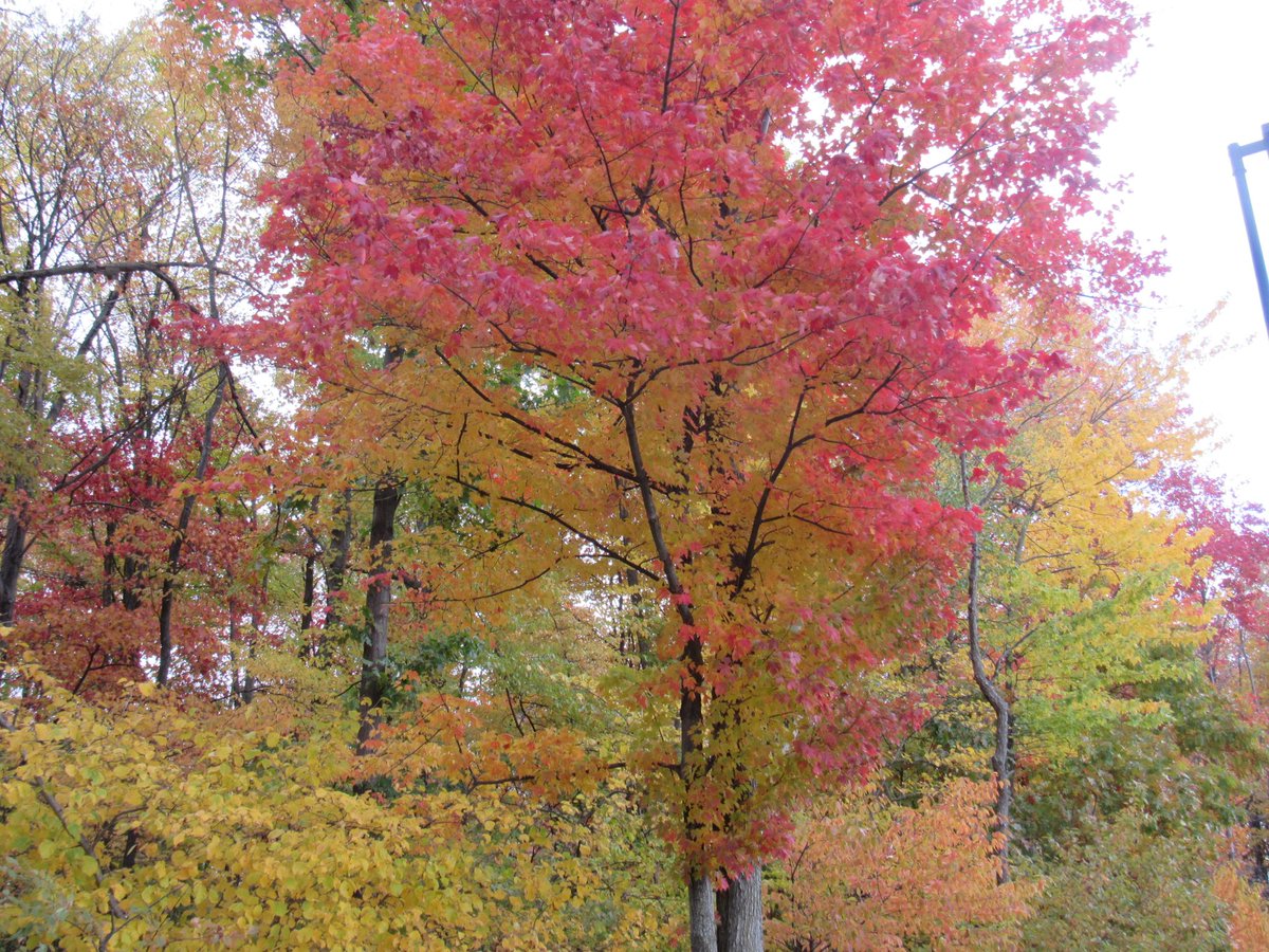 TomGS11's tweet image. 