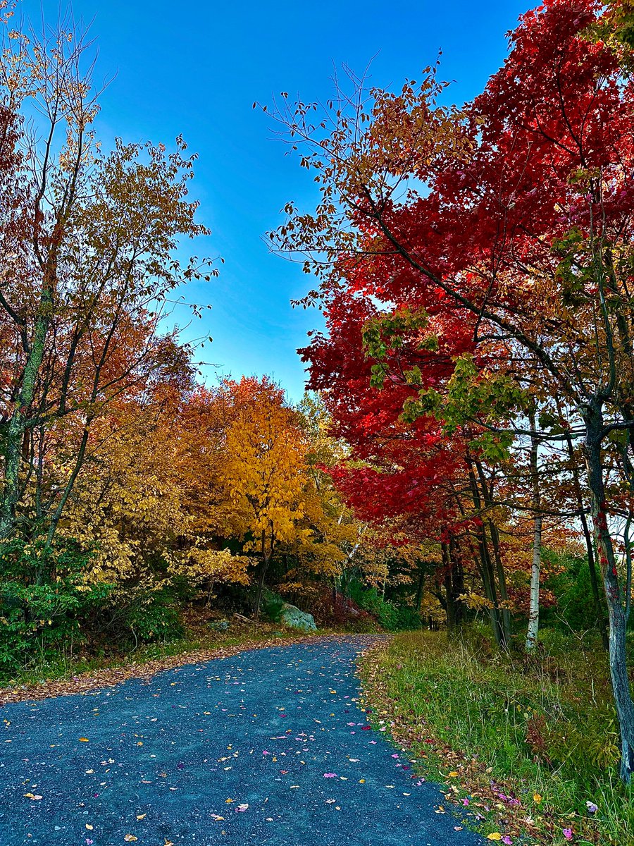 dylanmerte's tweet photo. October 2022 Hike in Minnewaska State Park. #minnewaska https://t.co/s7yPvm1XXE