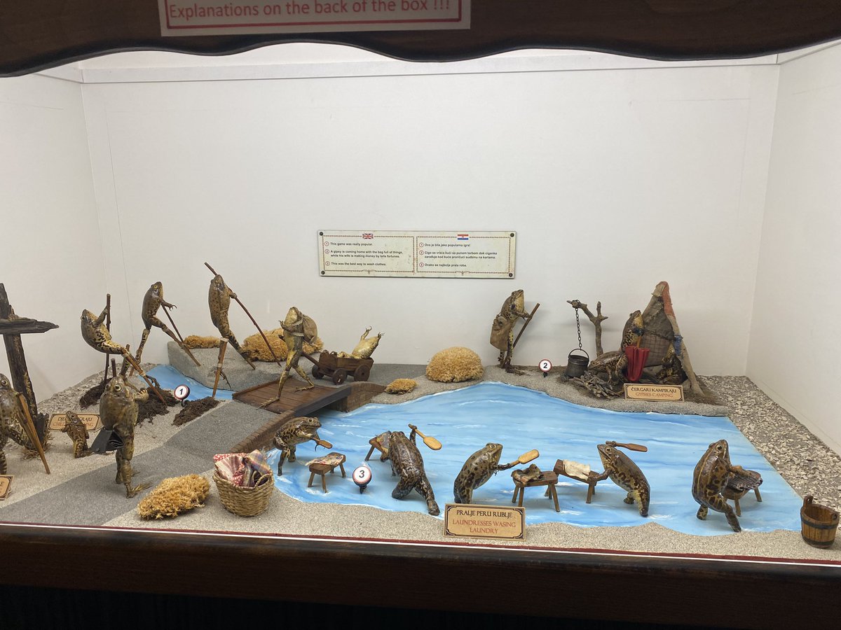 abweeb's tweet image. I actually went to this museum and they all have little captions it’s amazing lolol