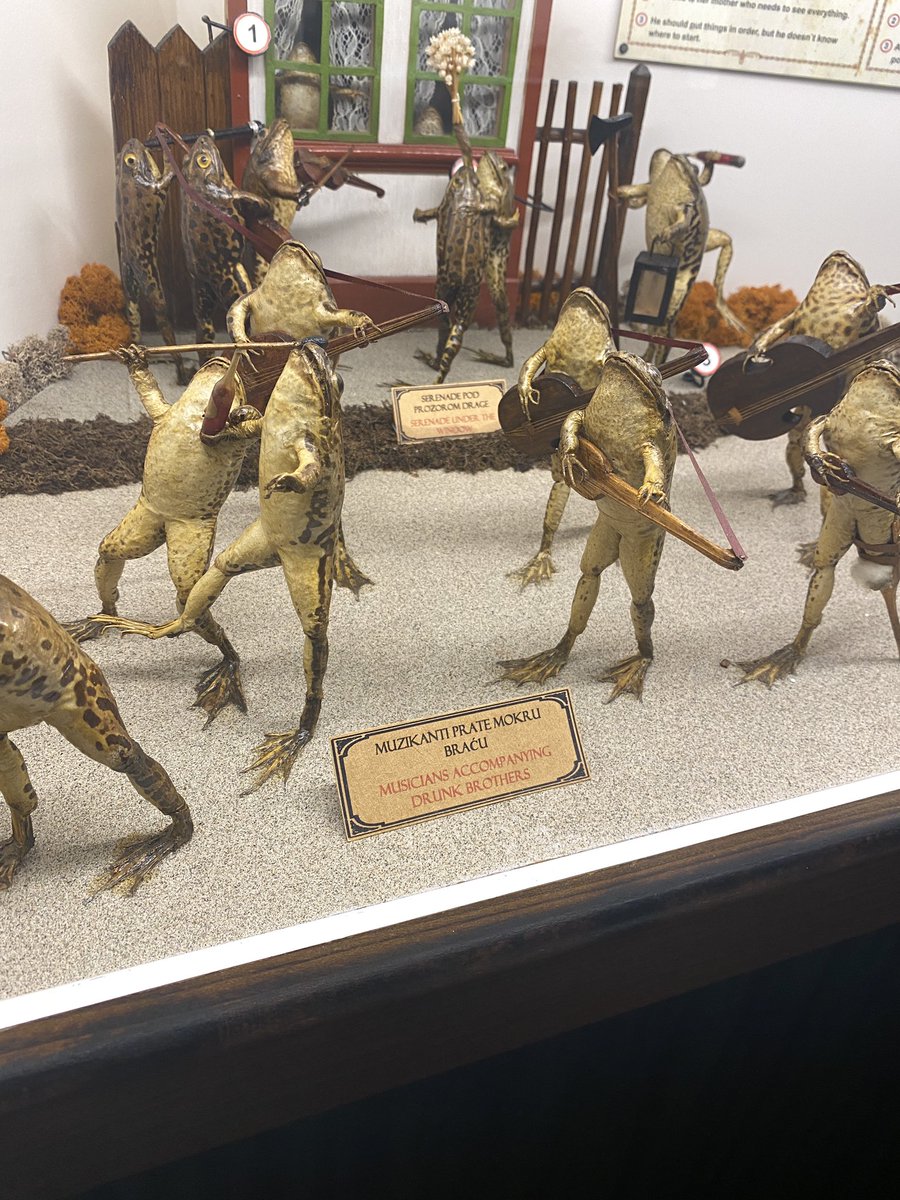 abweeb's tweet image. I actually went to this museum and they all have little captions it’s amazing lolol