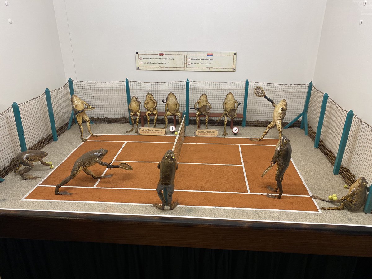 abweeb's tweet image. I actually went to this museum and they all have little captions it’s amazing lolol