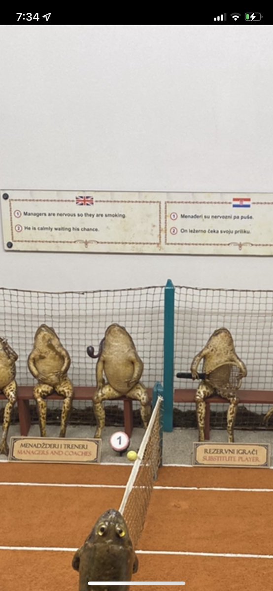 abweeb's tweet image. I actually went to this museum and they all have little captions it’s amazing lolol