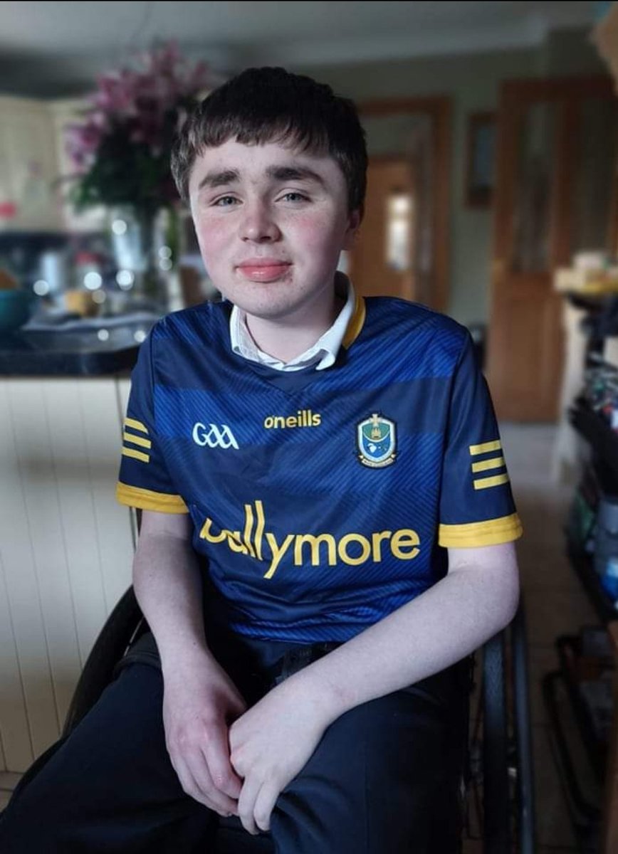 It is impossible to accept you are no longer present Archie. 
You always  occupied the biggest space in our family and in our home. 
This image was taken six months ago. The mistake we made is that we honestly believed we had many more years together. We a miss you constantly💔