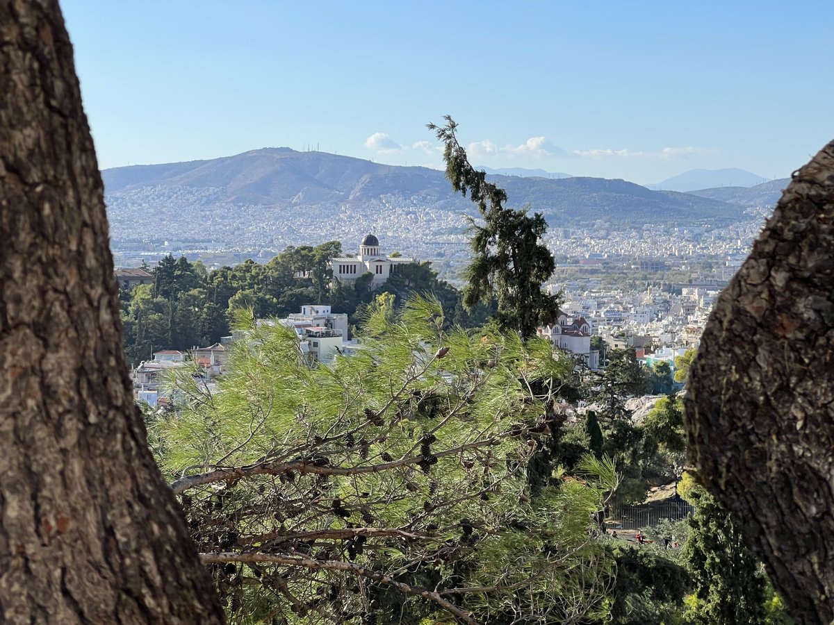 Gabriela Ilie tweet media