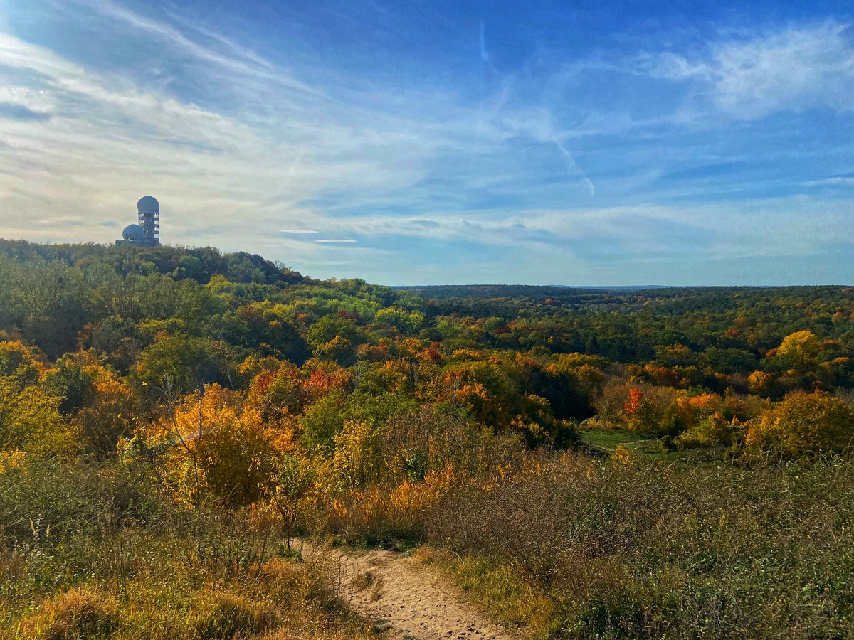 Gerald Swarat tweet media