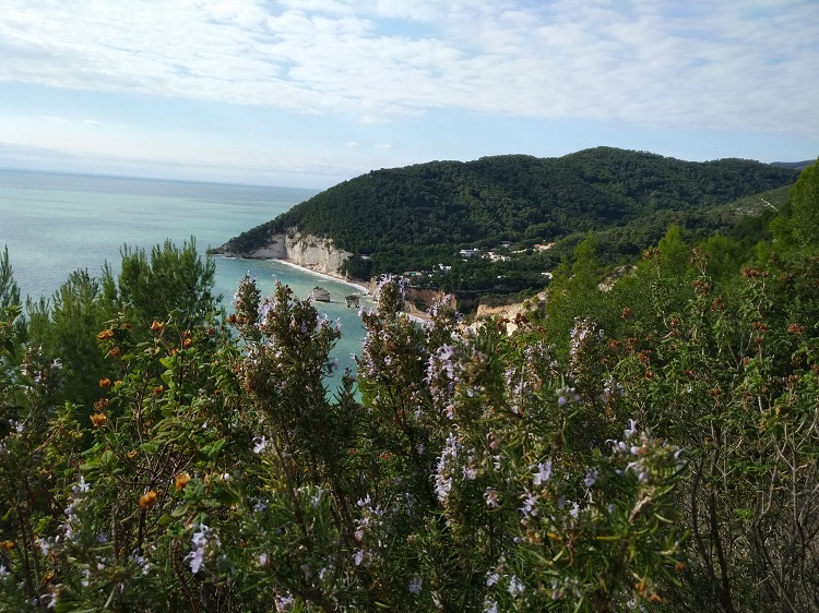 SonoitaliaInfo's tweet photo. Im apulischen #Parco del #Gargano gibt es viele schöne #Wanderwege. Eine atemberaubende Wanderung auf dem #Sentiero #Natura verbindet den Strand von #Vignanotica mit der Bucht #Baia delle #Zagare. 👉https://t.co/81w9gtSyCv @WeAreInPuglia @WeareinGargano @garganolab2_0 @CiaoNico https://t.co/RE1Xpyziju
