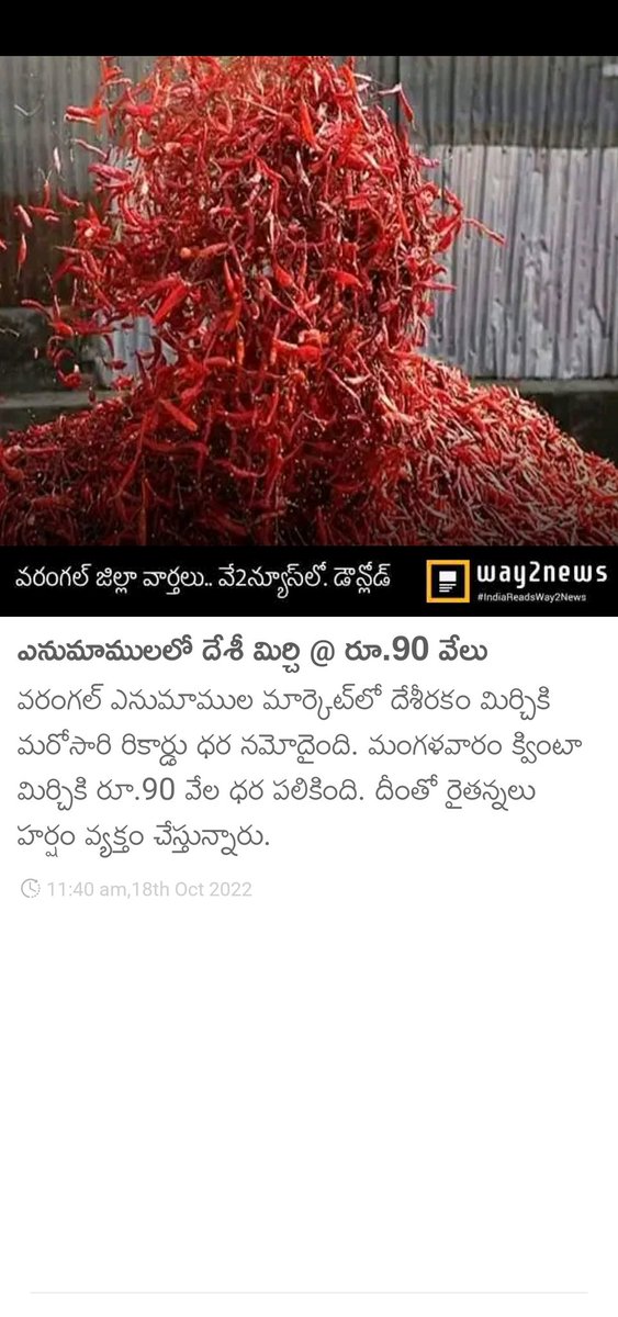HiWarangal's tweet photo. ఎనుమాములలో దేశీ మిర్చి @ రూ.90 వేలు
#WarangalMirchi 🌶️🌶️🌶️🌶️🌶️
#90KperQuintal #AllTimeRecords #EnamamulaMarketYard #Telangana https://t.co/Osrn4J7WHZ