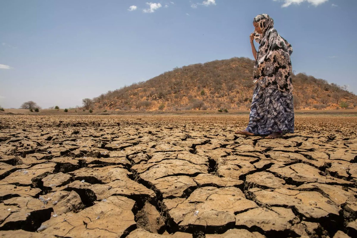 kipepeogh's tweet photo. The #ClimateCrisis has caused an unprecedented scale of human exposure to extreme heat around the 🌍. In #Kenya heatwaves are now more frequent causing extreme weather events like droughts
 
More on the situation in @UNOCHA  &amp; @ifrc  report on heat waves⬇️
https://t.co/bJjFoQAX39 https://t.co/1bp9djbdIE