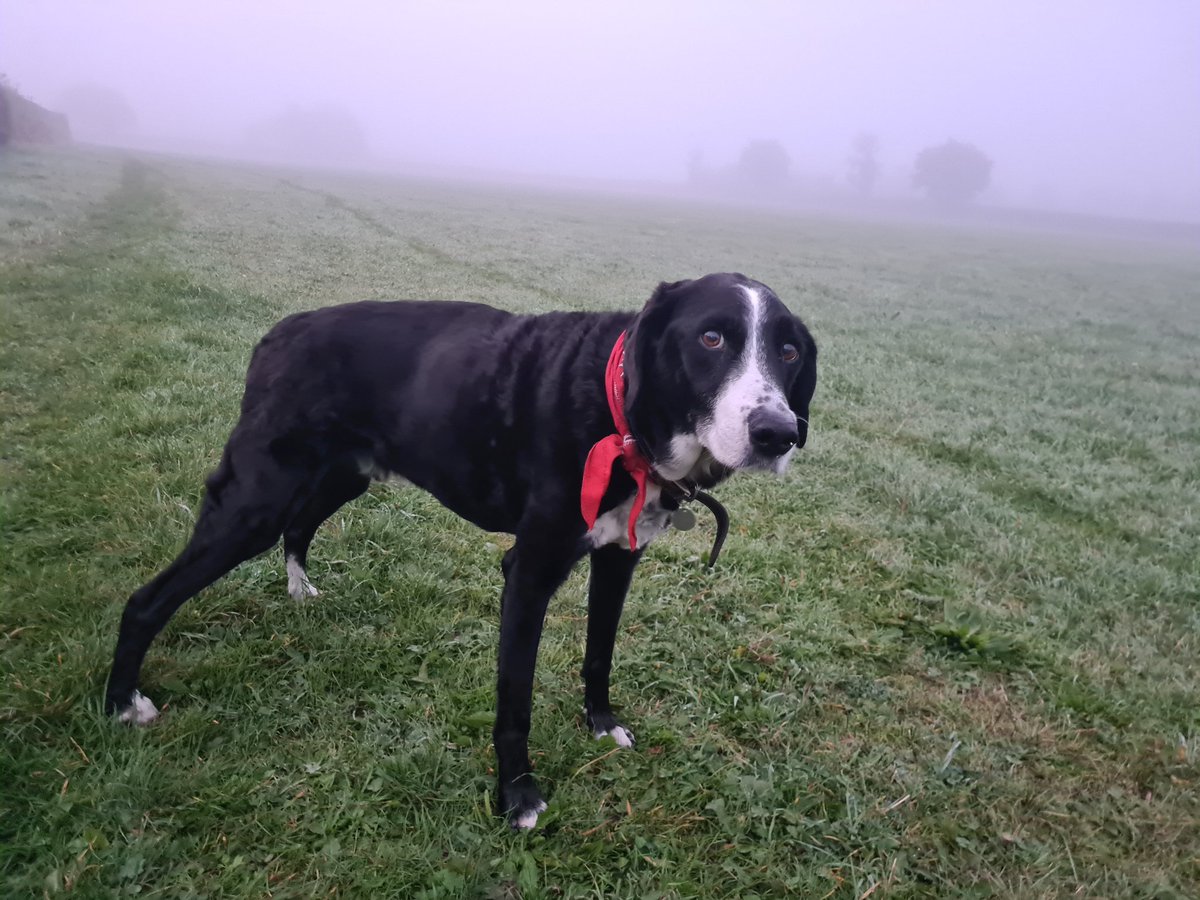 Matthew (he/him) ❤️ tweet media