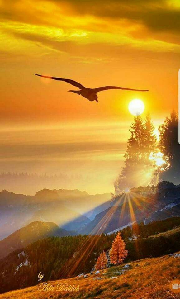 Magorza96353376's tweet photo. Good morning... https://t.co/xOLD43aXjx