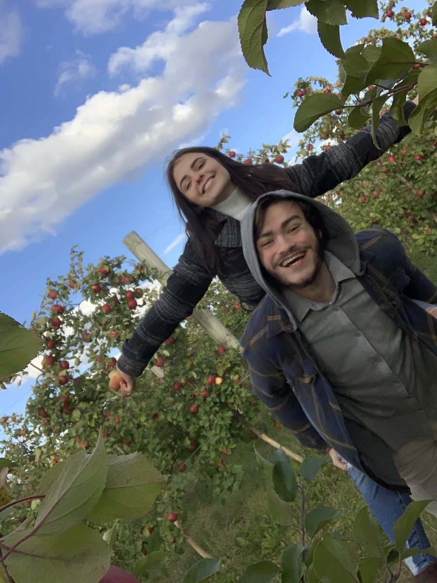 80007y's tweet photo. Apples picked https://t.co/py35PXRCzN