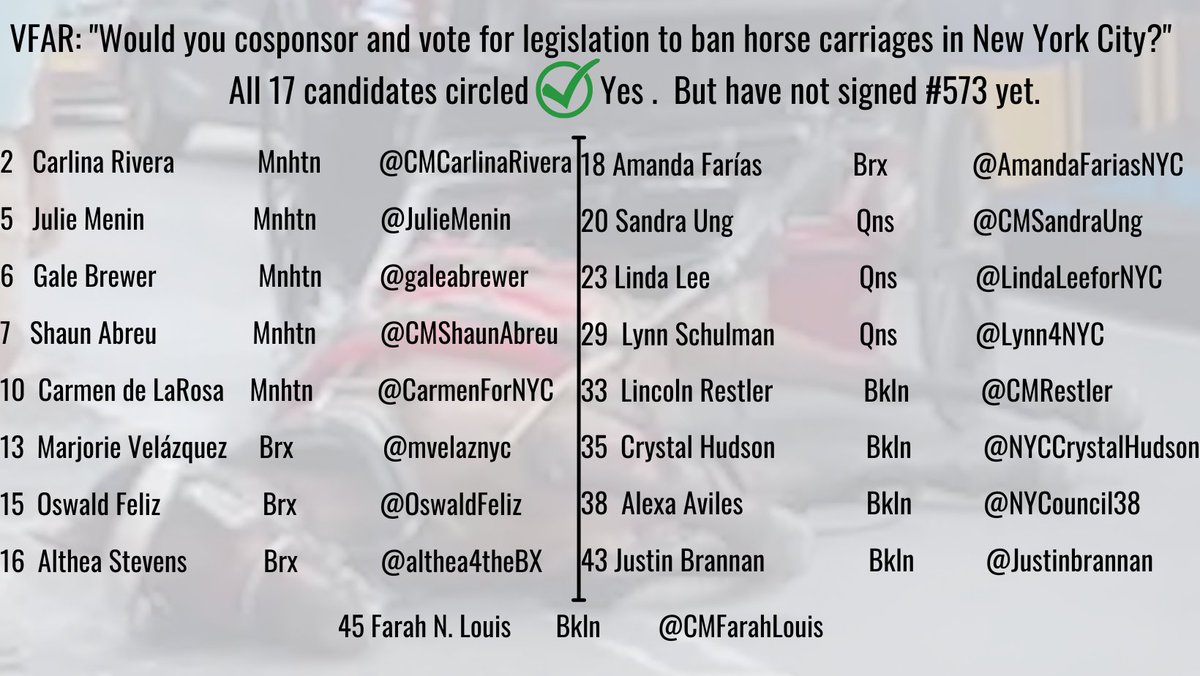 These 17 candidates sought🙏endorsements from New York's #animalrights community.
Pledging to #BanHorseCarriages, they received #VFAR endorsements; donations and votes from animal lovers; and they won.
Safely ensconced in City Council, it's time they kept their promise.
Sign #573