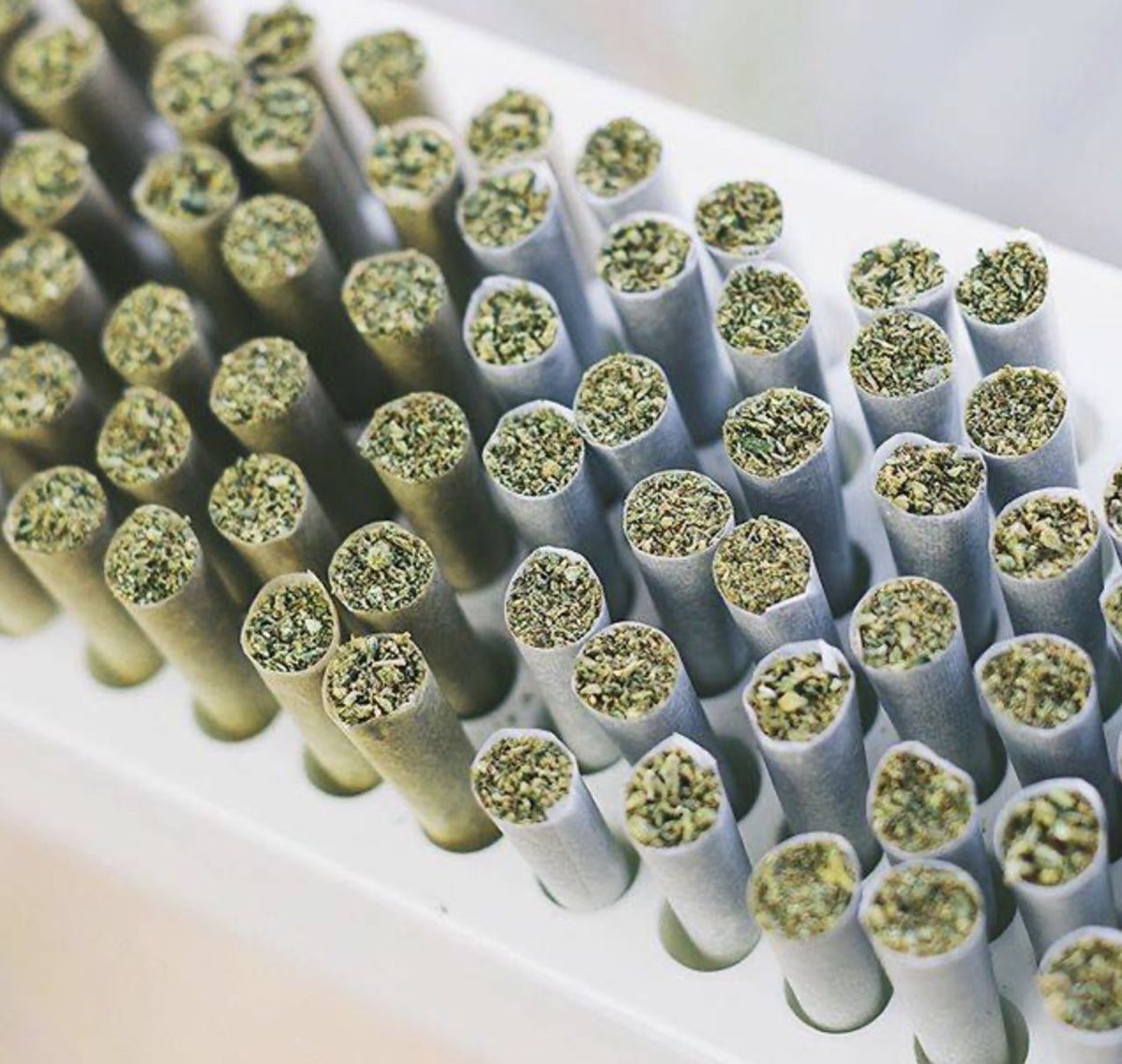 EllenWei15's tweet photo. 100pcs Cone Filling Machine King Size 84mm/98mm/110mm Cone Filler System Packing Machine #conefillingmachine #prerollcone #filllingmachine #420weed #420bar #smoke #smokeshore #cone #CannabisLife #cannabisculture #420community #CannabisLife #thc #cbd https://t.co/bE5PfxFa5D