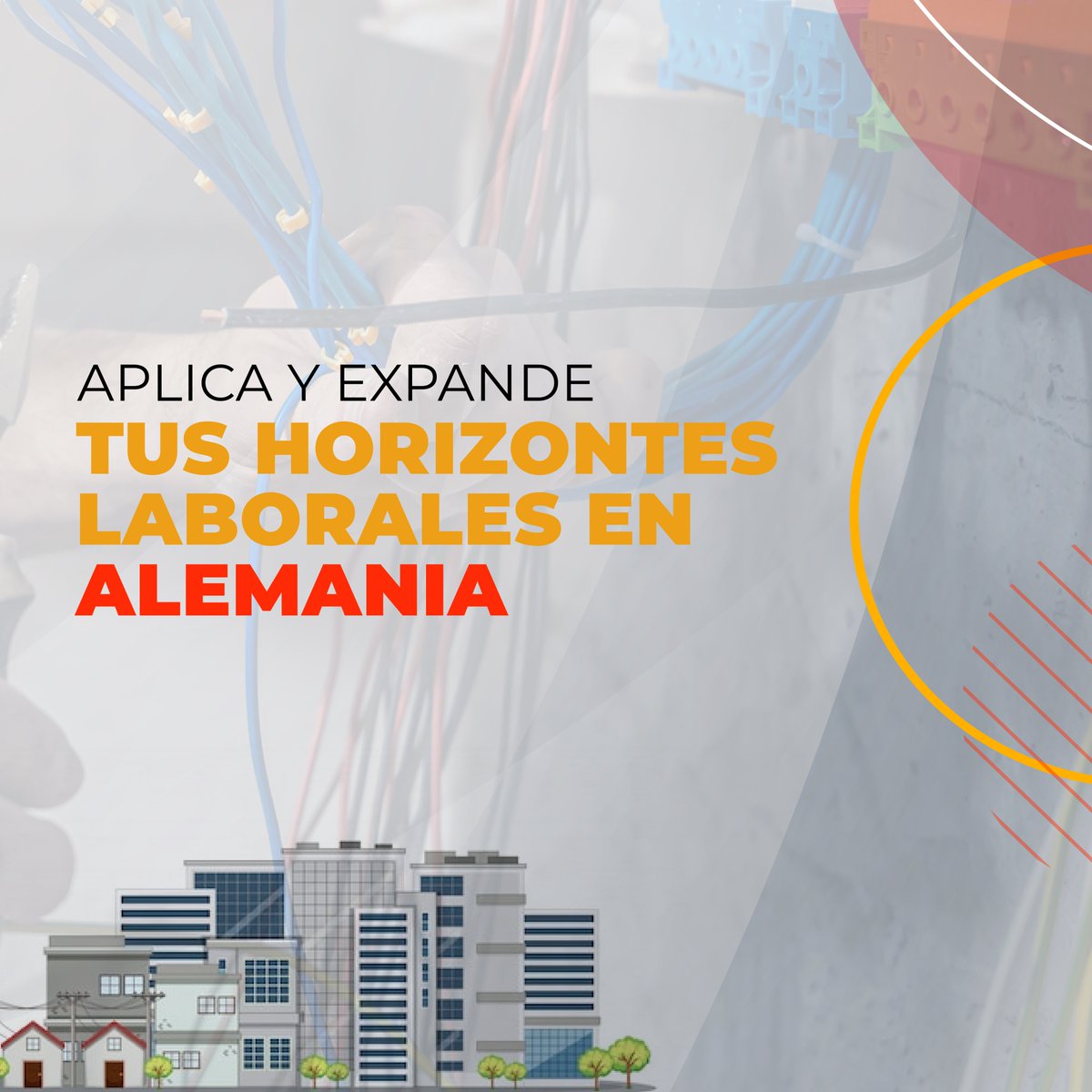 ServiciodEmpleo's tweet photo. Resuelve todas tus dudas consultando el ABC del #ProyectoTEAM 2.0 y aplica a la convocatoria hasta el 31 de octubre para continuar #ExpandiendoHorizontesLaborales.
Consulta el ABC 👉 https://t.co/wuP6msBs6z
Conoce más detalles en https://t.co/x5b790gIQO https://t.co/7PPHU5xRKF