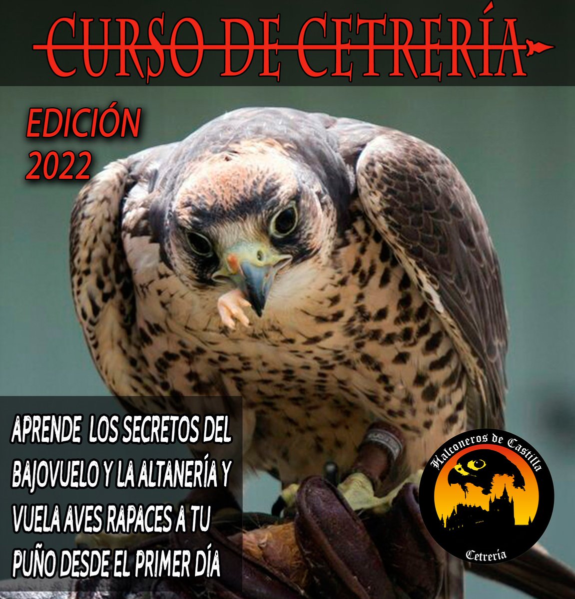 Tenemos para vosotros dos nuevos cursos de cetrería y manejo de aves rapaces.
👇🏽👇🏽👇🏽👇🏽👇🏽
Curso 1: Días 12 y 13 de Noviembre 
Curso 2: Días 19 y 20 de Noviembre 

Pídenos información sobre estos dos cursos en info@halconerosdecastilla.com o a través de nuestra web.