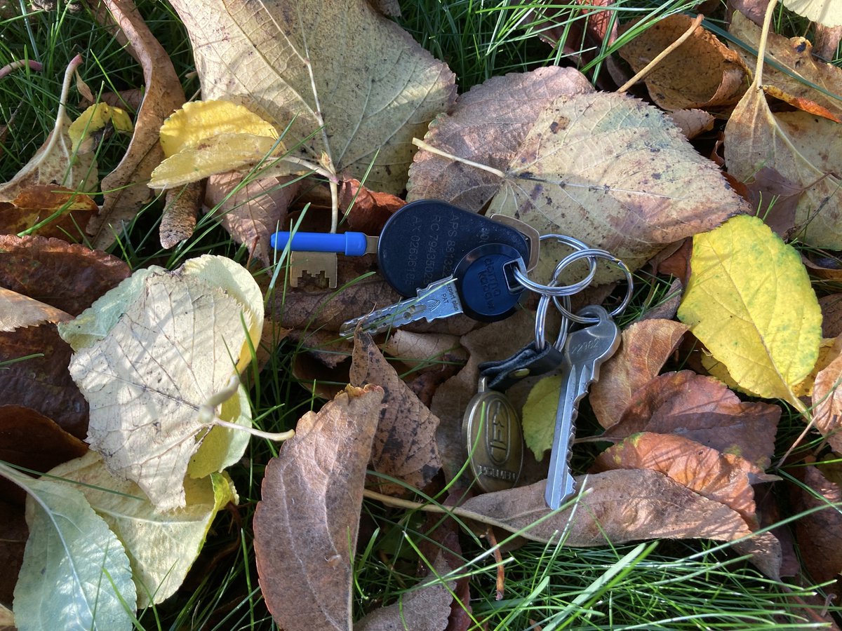 Henrik_Senestad's tweet photo. Tappat bort nycklar i höstmörkret? Låt mig skina över dig vad som gäller med hemförsäkringen - kan vara plikt att byta ut låset: https://t.co/KujJKpjjig https://t.co/ACJU0QphW5