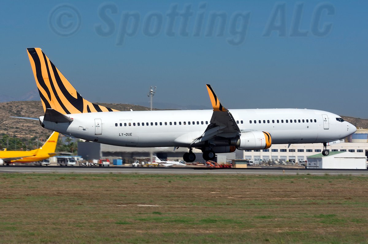 LY-DUE Boeing 737-800 de #GetjetAirlines aterrizando por la pista10 de <a href="/ALC_Airport/">Aeropuerto Alicante-Elche Miguel Hernández</a> en vuelo regular de <a href="/transavia/">transavia</a> desde AMS <a href="/Schiphol/">Amsterdam Airport Schiphol</a> colores especiales de Tigerair

LY-DUE Boeing 737-800 of #GetjetAirlines landing on 10 from AMS <a href="/Schiphol/">Amsterdam Airport Schiphol</a> wearing Tigerair livery for <a href="/transavia/">transavia</a>