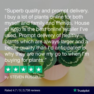 We love receiving your reviews. Especially when they are this sweet #houseplants #ukhouseplants #houseplant #calathea