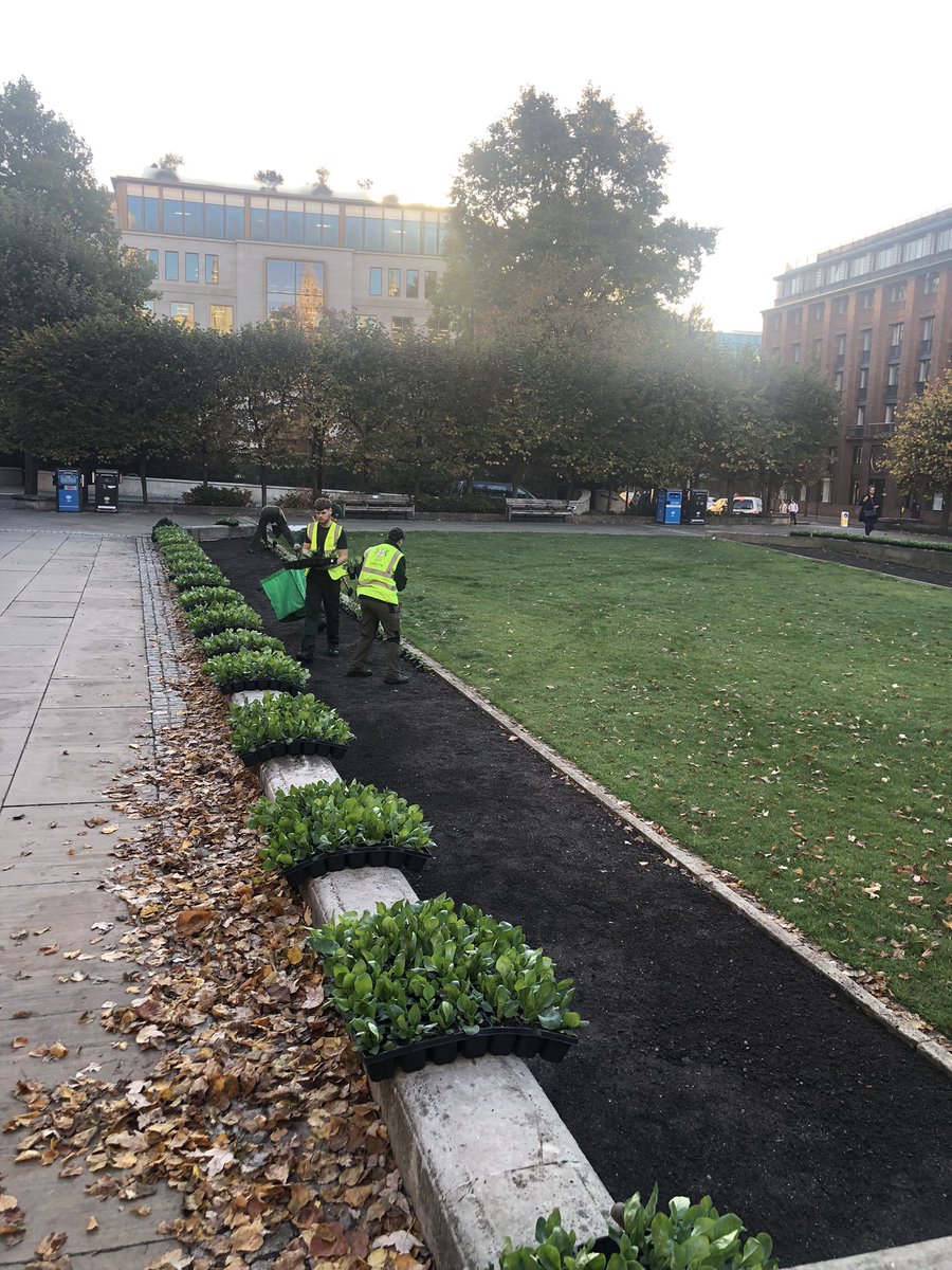 About 1000 flowers being planted per bed down at St Paul’s this morning under the autumnal sunshine. Can’t wait to see how they turn out! <a href="/visitthecity/">Visit the City of London</a> <a href="/cityoflondon/">City of London</a> <a href="/Squarehighways/">Squarehighways</a>