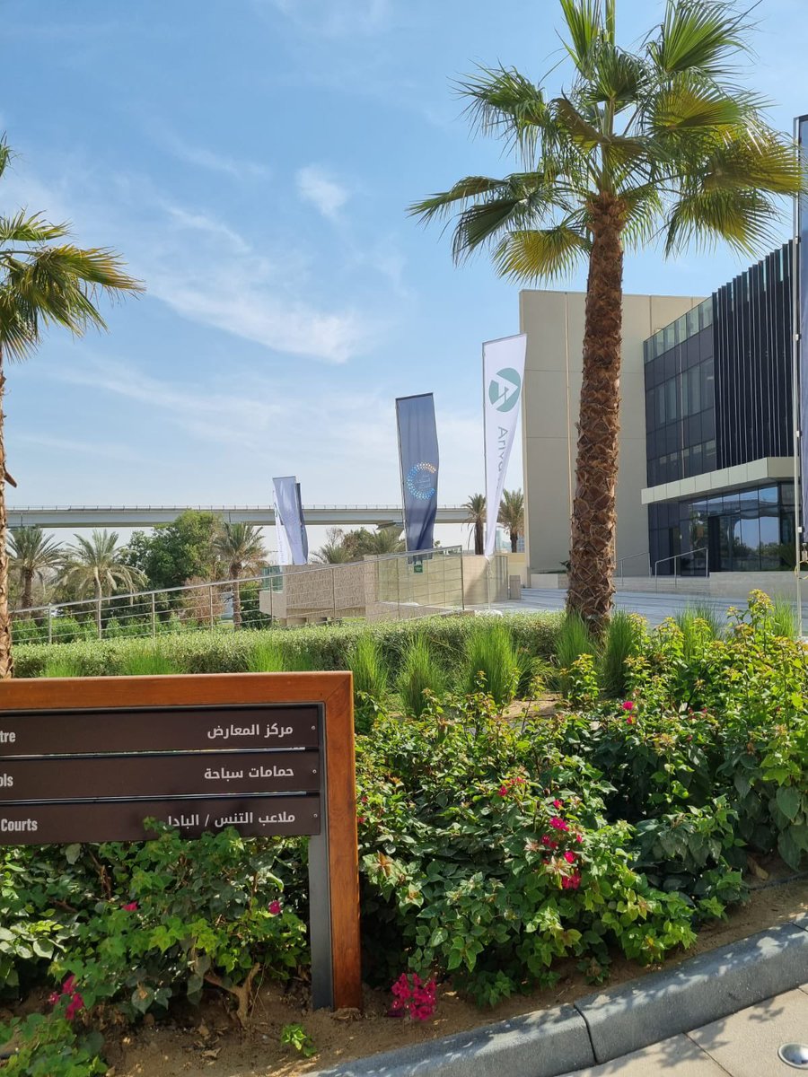 ArivaCoin's tweet photo. Come to #Dubai. It's always sunny here. ☀️ https://t.co/KZo1dtb0Cp