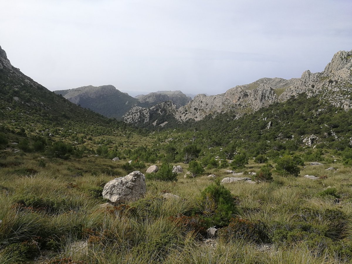 #GR221 Day 9: Tossals Verds - Lluc